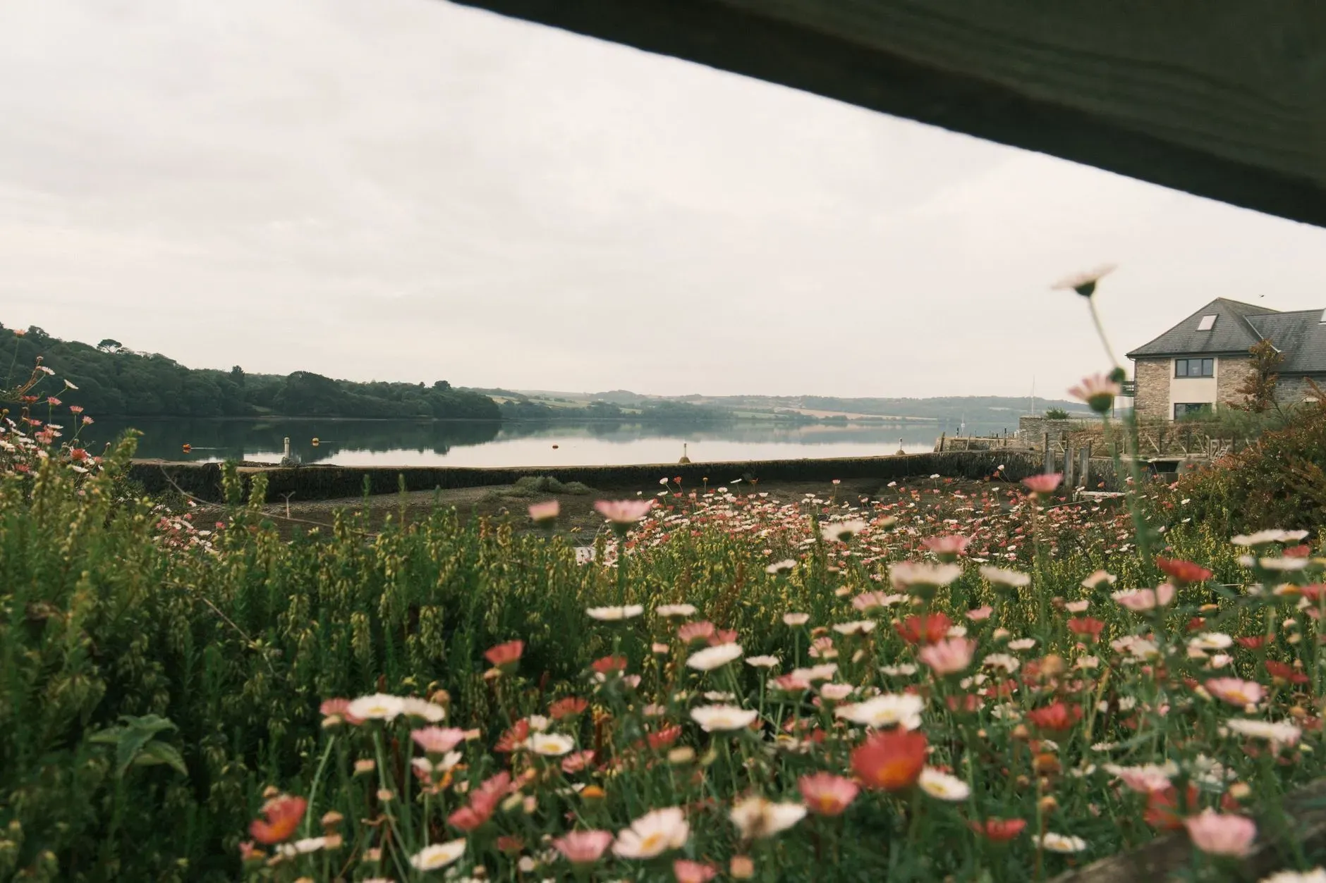 Third Eye Trips — retreat center