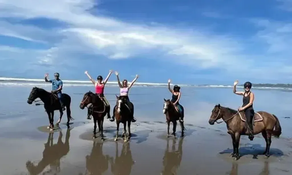 Thrive Worldwide Wellness — set in the lush landscapes of El Castillo, Costa Rica, Thrive Worldwide Wellness at Dances with Horses Ranch offers a tranquil, natural environment. The alternative Flor de Esterillos location provides charming oceanfront cabinas, allowing guests to immerse themselves in the soothing sounds and salty air of the Pacific coast. Both venues promise a peaceful atmosphere conducive to relaxation and introspection.