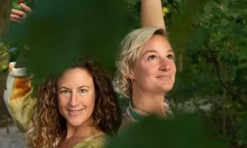 Truffel Ceremonies — The retreat is situated in Almkerk, a peaceful area in the south of the Netherlands, surrounded by nature. The venue, known as The Tinus Boom, is designed to be a sanctuary for sacred ceremonies, providing a tranquil environment conducive to introspection and personal transformation.
