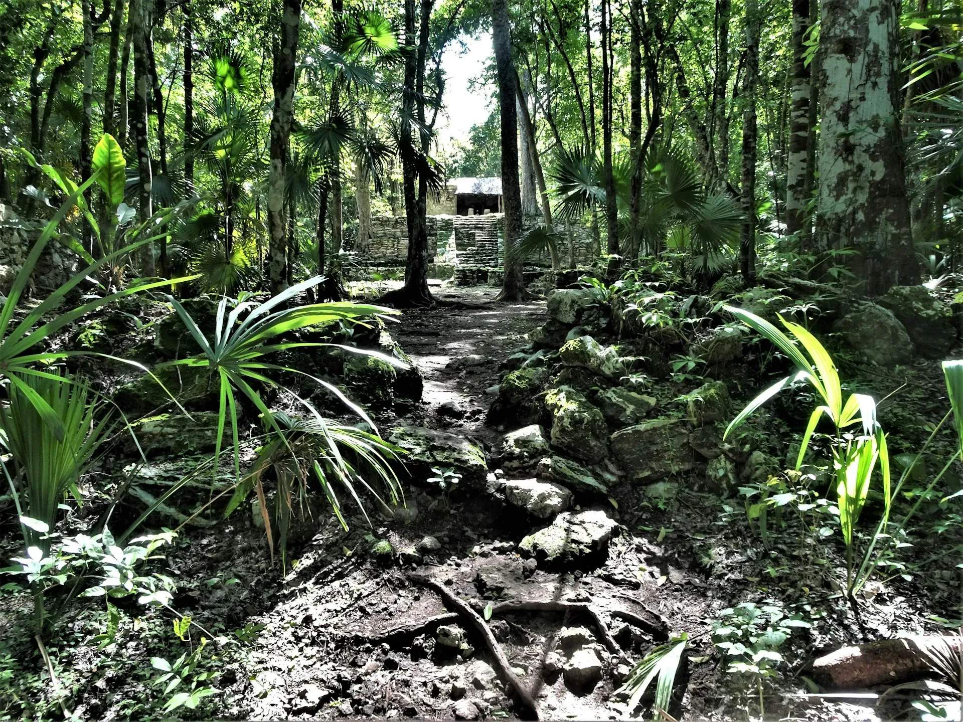 Tulum Boho Sounds and Bites — retreat center
