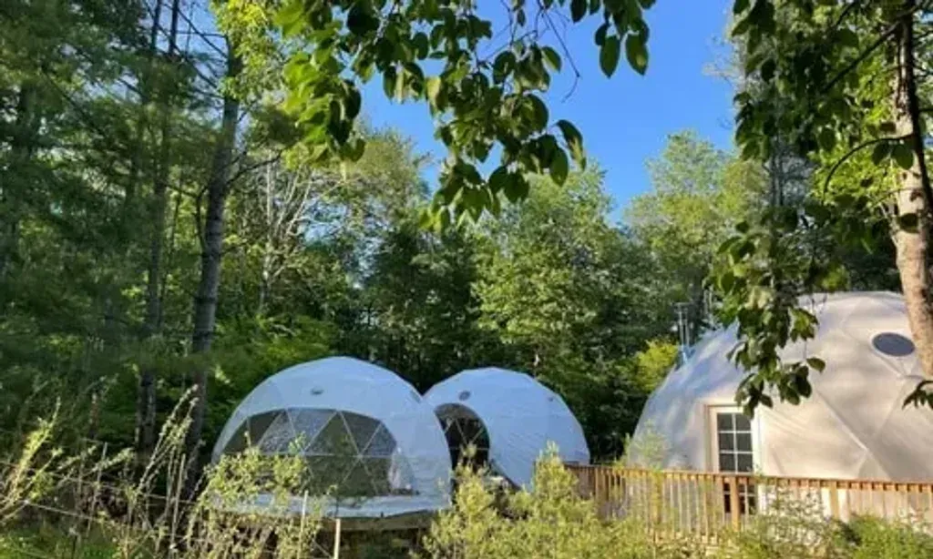V-Hives Retreats — The Woodstock location of V-Hives Retreats is situated in an environment chosen for its natural energy, designed to support deep healing and meaningful processes. While specific details about the immediate surroundings are not provided, the emphasis is on leveraging the subtle qualities of the natural world to foster inner work and the emergence of new perspectives.