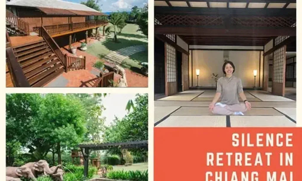Vata Yoga Retreat — The retreat is set on a 1.21-hectare plot of land, offering a private and serene environment. It features a main villa, a traditional Lanna-style teak house, and a pond-side dining sala. The grounds also include an organic vegetable farm and a chicken coop, contributing to a fresh, farm-to-table dining experience amidst lush surroundings.