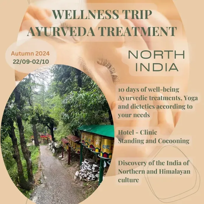 Veda4me — Located in a tranquil village near Dharamsala, Veda4me provides a peaceful escape with clean air and spectacular views of the Himalayas. The setting combines the natural beauty of the mountains with the rich cultural tapestry of the region, offering a serene environment for healing and exploration.