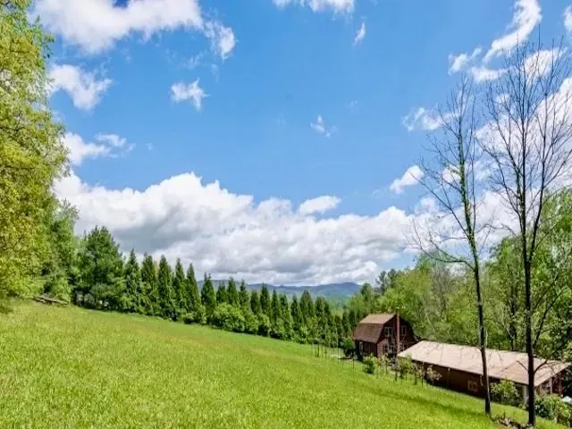 Verde Villa Sanctuary and Healing Center — The sanctuary is situated on a three-acre property within the picturesque Cane Creek Valley, surrounded by the natural splendor of the Blue Ridge Mountains. This tranquil setting provides a peaceful and harmonious atmosphere, ideal for reflection and healing, yet remains conveniently close to the vibrant city of Asheville.