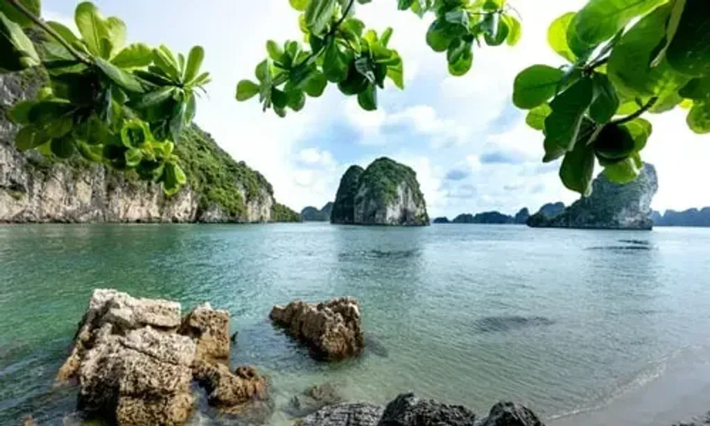 Vietnam Zen Adventures — set in a peaceful valley on Cat Ba Island, the center is surrounded by dramatic limestone mountains and dense jungle. This secluded environment offers a quiet escape from city life, encouraging guests to unwind and connect with the natural world.
