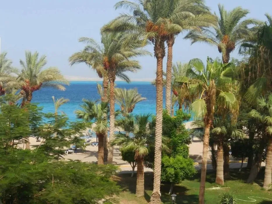 Villa Wanderlust Hurghada — Located in the heart of Hurghada, Villa Wanderlust is a tranquil oasis just a short stroll from the Red Sea. The villa is surrounded by a lush garden, providing a peaceful environment for relaxation and outdoor dining. The rooftop sundeck offers a quiet space for meditation and enjoying the views, while the proximity to the sea allows for easy access to beach activities.