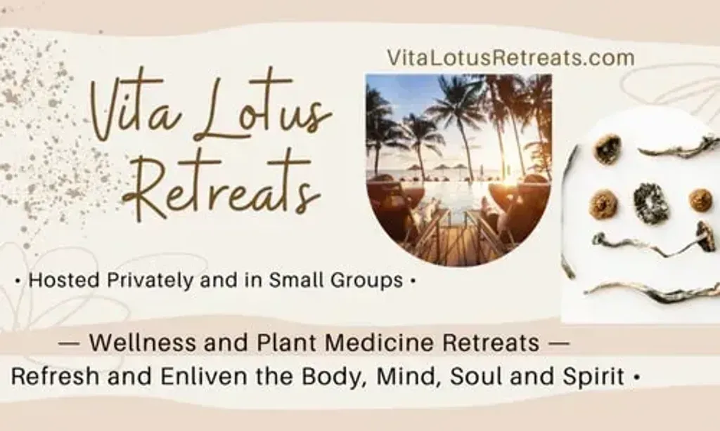 Vita Lotus Retreats — Vita Lotus Retreats intentionally avoids a fixed location, choosing instead to host their programs in varied atmospheric settings around the world. This approach allows them to offer participants the chance to experience the immense beauty and diverse cultures of our planet, always supported by experienced guides familiar with the specific regions and terrains.
