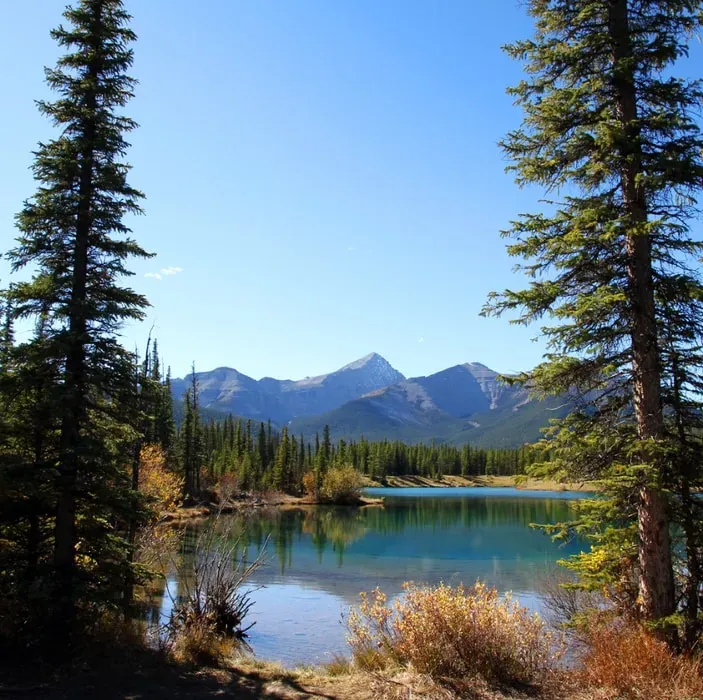 Vita Wellness Retreat — set in the charming town of Bragg Creek, just outside Calgary, the retreat is surrounded by natural beauty. The area offers a peaceful escape from city life, with ample opportunities for outdoor activities like hiking and biking on nearby trails. Guests can also explore local shops and restaurants, making it an ideal destination for those who appreciate both tranquility and access to local charm.