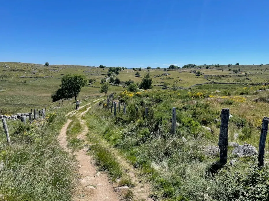 Walking Through Nature — This retreat unfolds amidst the picturesque rural landscapes of France, following the ancient Le Puy Camino. The journey from Le Puy to Conques offers a serene backdrop of rolling hills, charming villages, and natural beauty, providing an ideal environment for quiet contemplation and connection with the more-than-human world.
