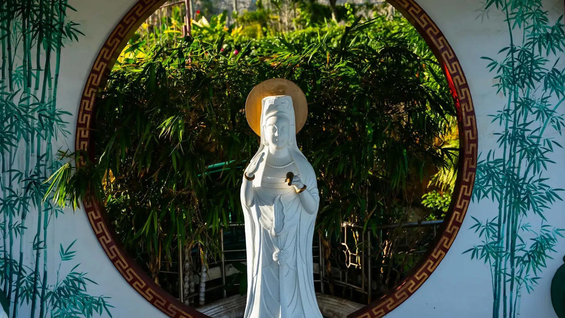 Wellnessland Health Institute- Wellnessland Wholeness Center