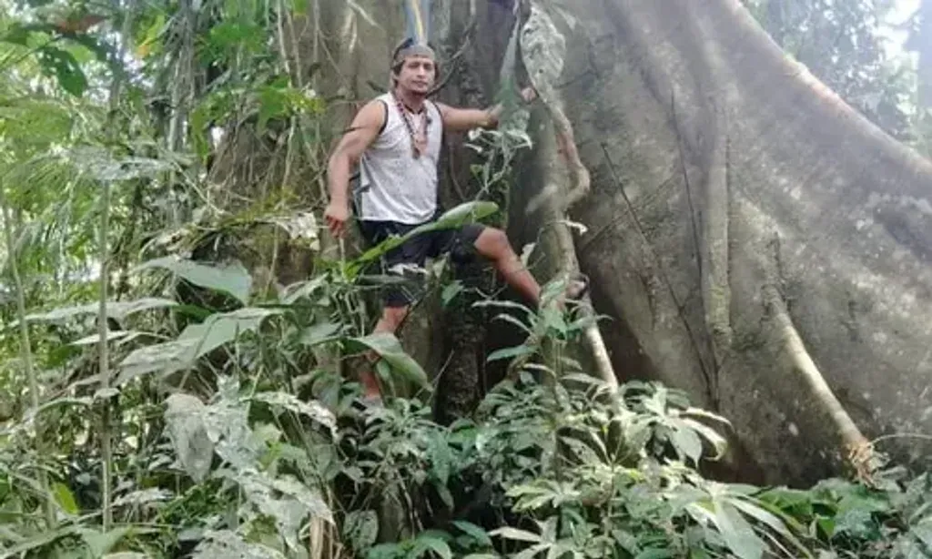 Whispers of the Jungle — The center is situated in the small town of Tamshiyacu, a two-hour boat ride from Iquitos, deep within the Amazon jungle. Surrounded by the vibrant sounds of birdsong and the natural beauty of waterfalls, the atmosphere is one of profound connection to nature. Facilities are basic, emphasizing a harmonious existence with the environment.