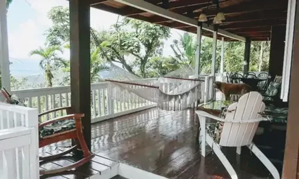 White Wolfe Experience — The retreat is situated within a private country house, set on five acres in the heart of the El Yunque Rain Forest in Puerto Rico. This natural setting is described as an "energy Vortex," offering a quiet and spacious environment surrounded by abundant plant life and the constant serenade of birds. It's a place where nature's beauty is paramount.