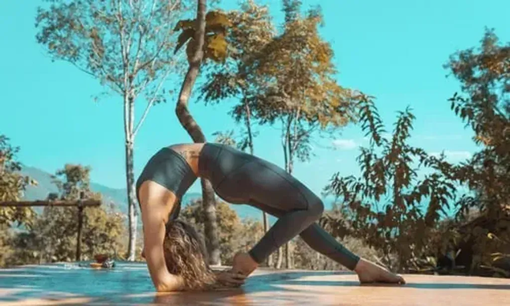 Wild Love Yoga School