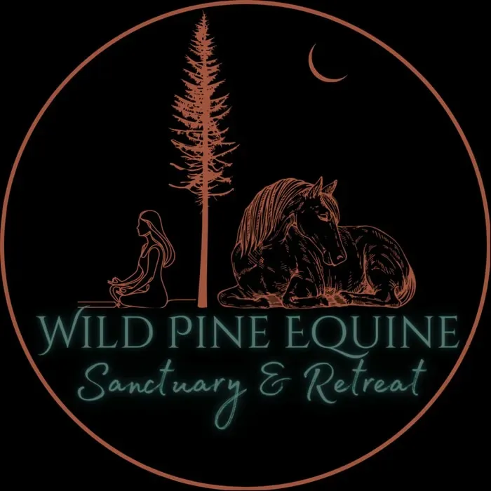 Wild Pine Equine Sanctuary — set in the quiet, natural beauty of Western Colorado, Wild Pine Equine Sanctuary is surrounded by open land, fresh air, and expansive views. The energy here is intentionally calm and grounding, designed to encourage slowing down and stepping away from daily noise. You'll find ample quiet spots for reflection, where time seems to move differently.