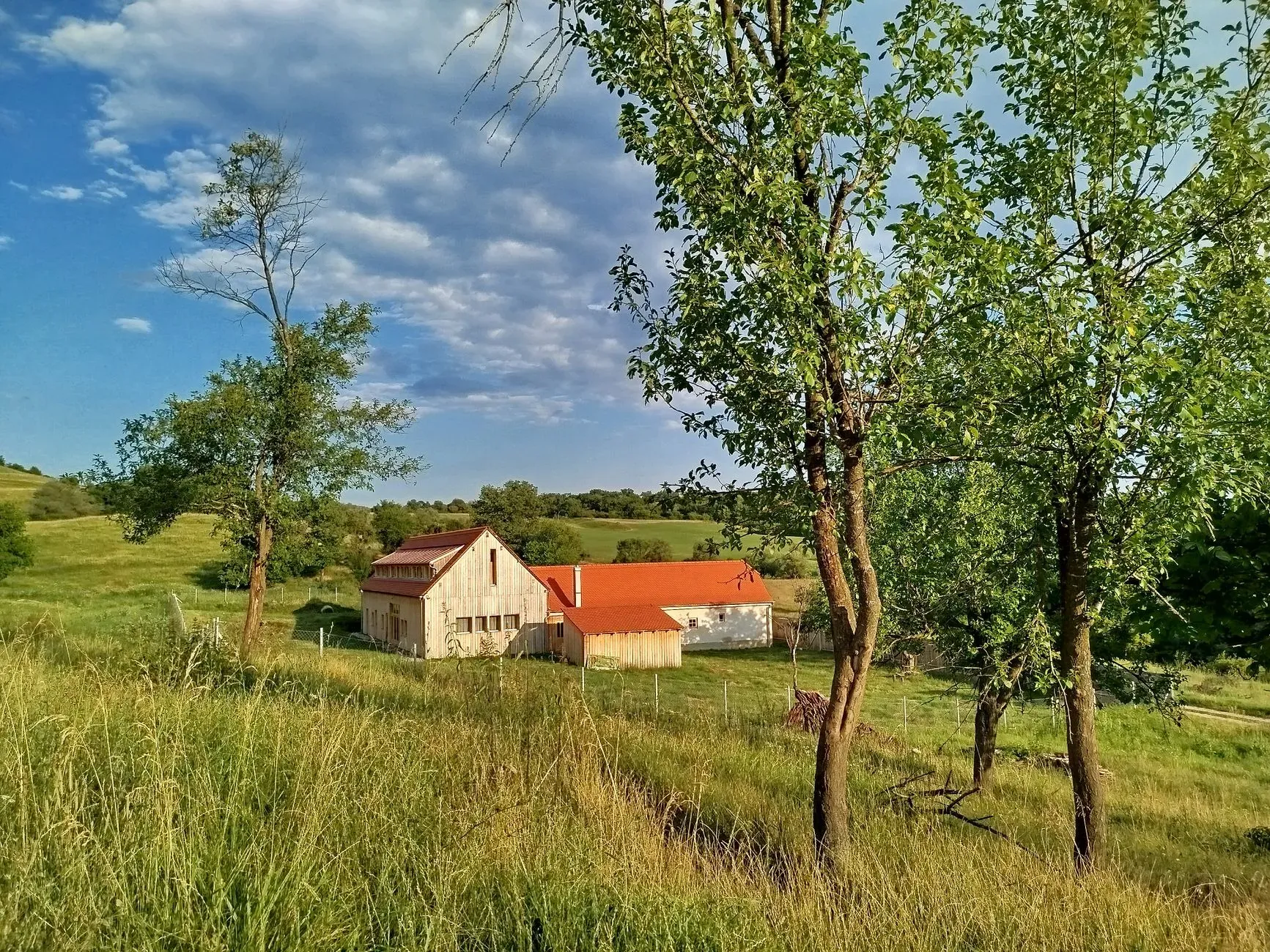 Wild River Medicine — retreat center