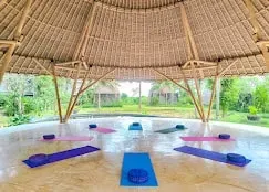Yoga Home Wellness