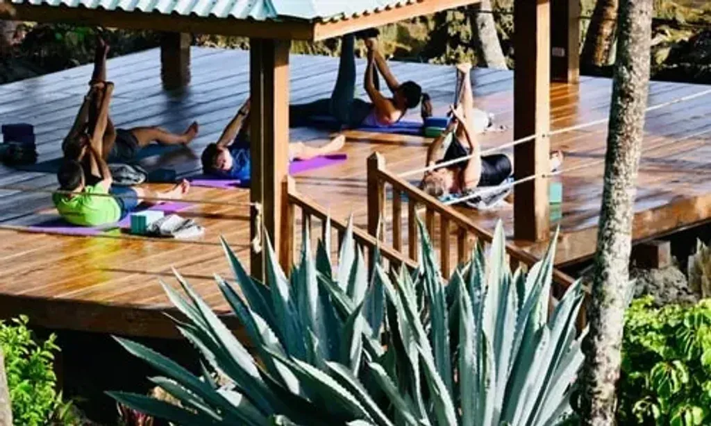 Yoga Mindfulness Health