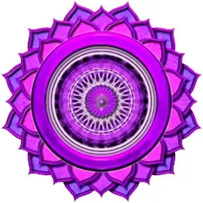 Yoga Nisarga — retreat center
