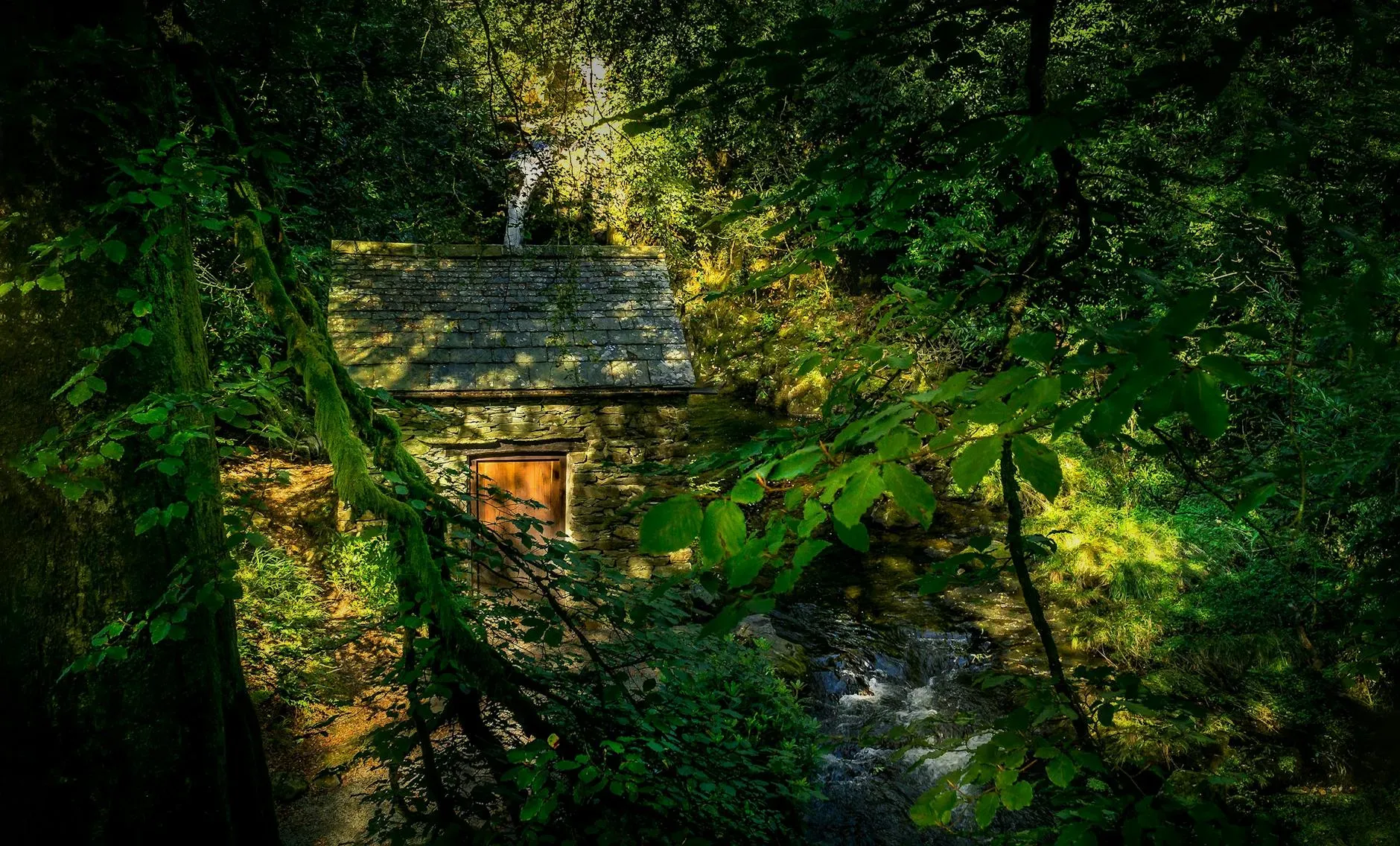 Yogi Sonos — set within a tranquil forest in the heart of the Cotswolds, Yogi Sonos provides a serene natural backdrop. The environment is characterized by ancient trees, fresh air, and peaceful woodland paths, creating a rustic yet refined atmosphere. Outdoor spaces are designed for practice and reflection, including an open-air area for yoga and a fire circle for shared rituals.