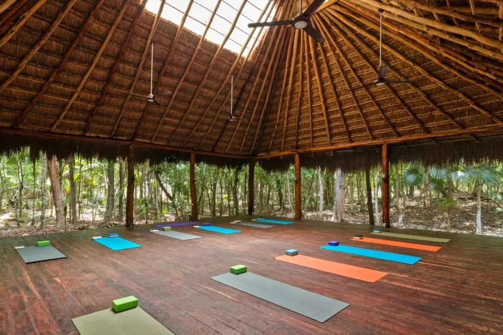 Your Sovereign Mind — set within a private hectare of lush jungle in the Dos Ojos cenote park, Your Sovereign Mind offers an immersive natural environment. The eco-inspired architecture blends seamlessly with the surroundings, featuring an open-air palapa for group activities, shaded outdoor spaces for quiet reflection, and jungle pathways inviting connection with nature and self.