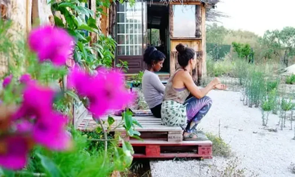 Zee Barn — set within a vibrant forest garden in Barril Mafra, Zee Barn offers a serene and natural environment. The space is designed to foster a deep connection with the earth, with various structures blending seamlessly into the landscape.