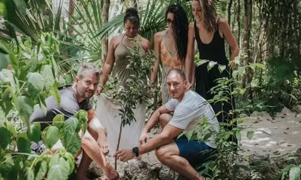 Zephyr Encounters — The center is set in a lush jungle environment near Puerto Morelos, offering a tranquil and immersive natural experience. The presence of nearby cenotes adds to the allure, providing opportunities for exploration and connection with the unique local landscape.