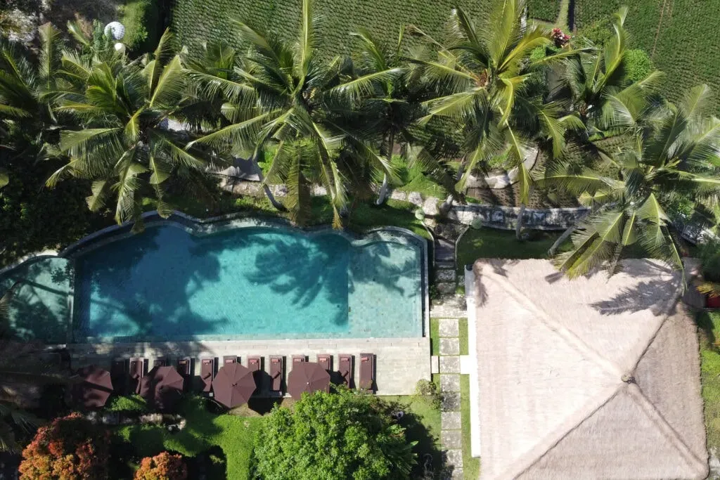 Zituordyja — set in Ubud, Indonesia, the center is situated amidst the lush, vibrant landscapes characteristic of Bali. The atmosphere is designed to be tranquil and supportive, providing a serene backdrop for personal reflection and growth, away from the bustle of daily life.