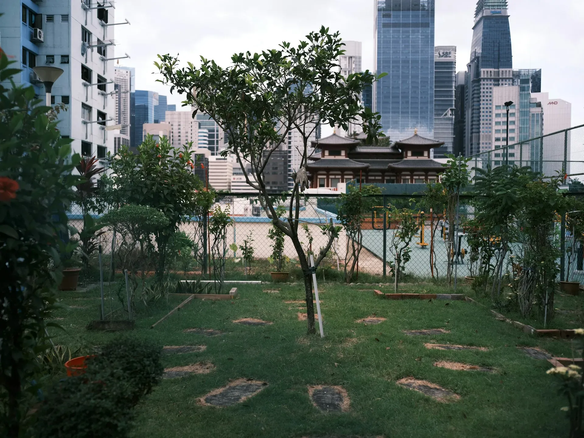 The Singapore Buddhist Lodge
